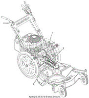 Belt Diagram