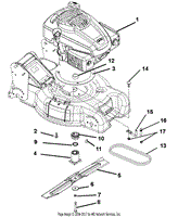 Engine, Blade And Belt