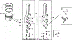 PISTON + RING