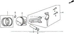 PISTON + RINGS