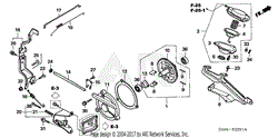 DIAPHRAGM (2)