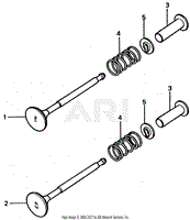 VALVE + VALVE SPRING