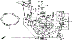 OIL PAN