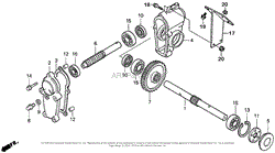 AUGER TRANSMISSION