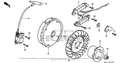 FLYWHEEL + IGNITION COIL