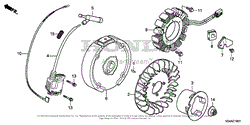 FLYWHEEL + IGNITION COIL (2)