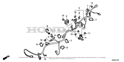 WIRE HARNESS (2)