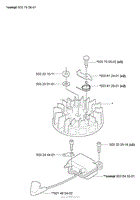 Ignition/Flywheel