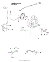 Electrical (NE)