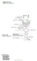 Pistion/ Cylinder