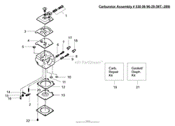 Carburetor Assembly (WT-289)