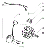 Ignition/Flywheel