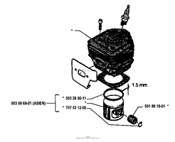 Piston Cylinder (ASIEN)