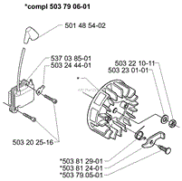 Ignition/Flywheel