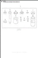 Forward and Reverse Piston Repair Kit