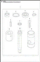 Forward and Reverse Piston Repair Kit