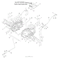 Hydraulic Pump - Motor(2)