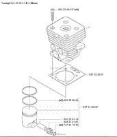 Piston/ Cylinder