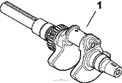 Crankshaft 1-24-13