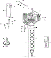 Crankcase 2-24-259