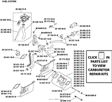 Fuel System 8-20-78