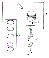 Piston &amp; Rod 021101833