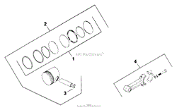 Piston &amp; Rod 021701054