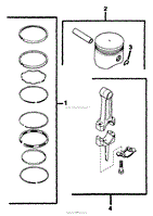 Piston &amp; Rod 020700519