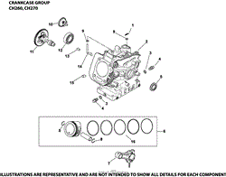 Crankcase Group CH260-1011