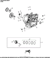 Crankcase Group CH395-3159 CH395