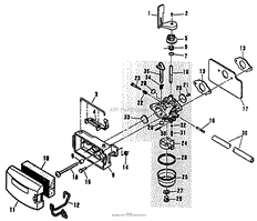 CARBURETOR GROUP MODELS: C21ZPN