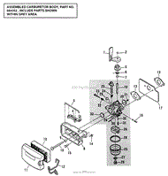 CARBURETOR GROUP MODELS: S21BSNA