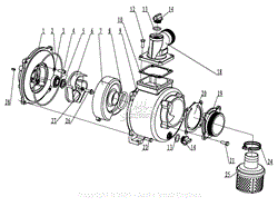 782559 Pump Exploded View