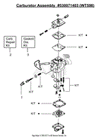 Carburetor Assembly (WT598) P/N 530071403