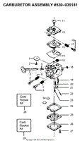 Carburetor Assembly P/N 530035181