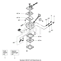 Carburetor Assembly (WT619) 530071565