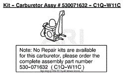 Carburetor Assembly (C1Q-W11C) 530071632