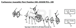 Carburetor Assembly (WA199) P/N 530035259