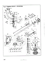 020 - TRIMMER GROUP