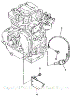 Oil Sensor-Carburetor Side