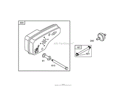 MUFFLER AND FUEL TANK ASSEMBLY BRIGGS AND STRATTON 12W802-1701-B1