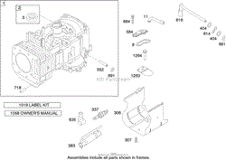 CYLINDER ASSEMBLY BRIGGS AND STRATTON 219907-0170-E1