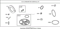 CARBURETOR OVERHAUL KIT (NIKKI) BRIGGS AND STRATTON 31A707-0116-E1