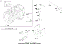 CYLINDER ASSEMBLY BRIGGS AND STRATTON 280H07-0166-E1