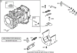 CYLINDER ASSEMBLY BRIGGS AND STRATTON 31A707-0116-E1