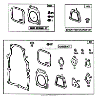 ENGINE TORO POWER PLUS(5)