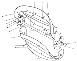 ROTOR ASSEMBLY