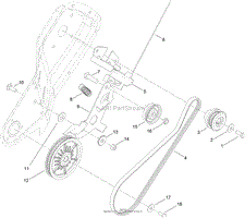 BELT AND DRIVE ASSEMBLY