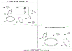 CARBURETOR OVERHAUL KIT BRIGGS AND STRATTON 126T02-0209-B1