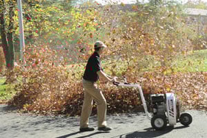 Walk Behind Leaf Blower